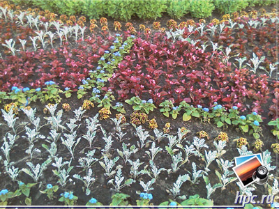 HTC Touch:   (jpg, 1600x1200, 814,0 )