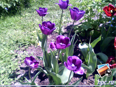 i-mate JAMA:   (jpg, 1600x1200, 469,9 )