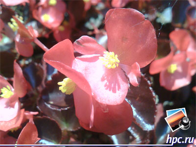 RoverPC G6:      (jpg, 1600x1200, 869,3)