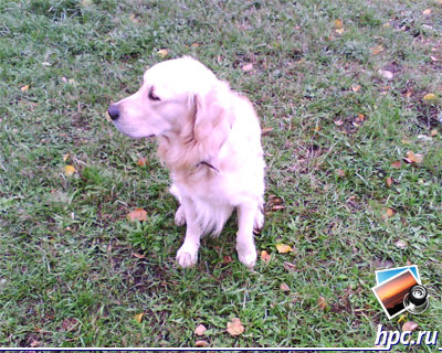 HP iPAQ 514:   (jpg,12801024, 597,9)