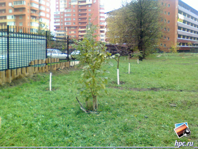 glofiish X800:   (jpg, 1600x1200, 647,6 )