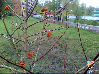 glofiish X800:   (jpg, 1600x1200, 712,7 )