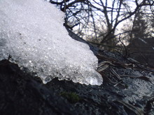   Sony Ericsson K550i  W610i     9