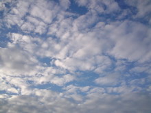   Sony Ericsson K550i  W610i     12