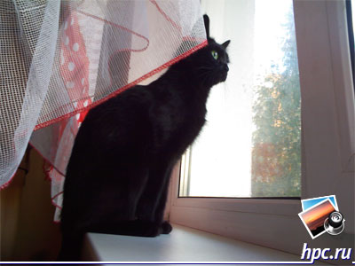 ASUS P526:   (jpg, 1600x1200, 214.6)