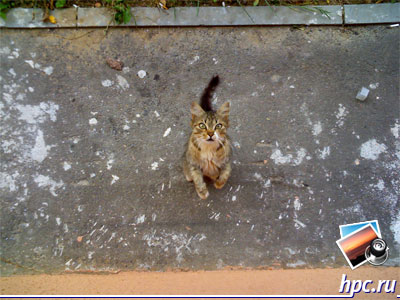 ASUS P526:   (jpg, 1600x1200, 421.1)