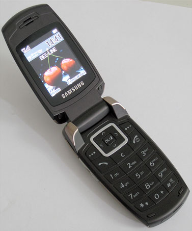   Samsung SGH-X500:  ""