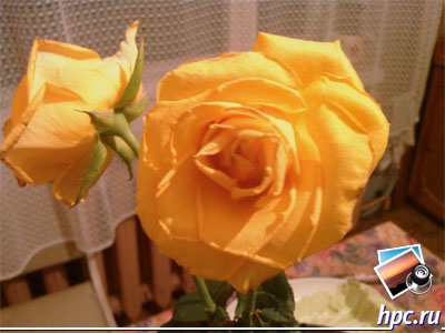 HTC TyTN II:   (jpg, 2048x1536, 413,9 )