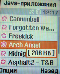 Java- Samsung SGH-E250