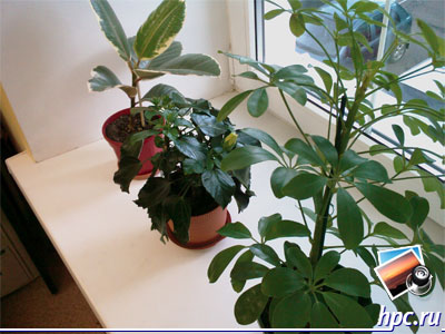 HTC TyTN II:   (jpg, 2048x1536, 485,5 )