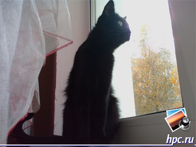 HTC TyTN II:   (jpg, 2048x1536, 412,4 )