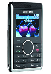 Samsung SGH-P310 -  