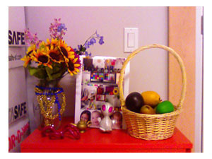 Pantech Duo C810:    ?