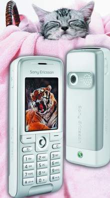 Sony Ericsson K310i -  