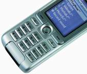 Sony Ericsson K310i -  