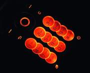 Sony Ericsson Z530i -    