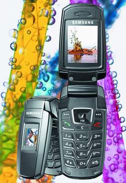 Samsung SGH-X300 -  ?