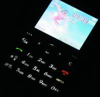 Samsung SGH-P300 - ,  ?