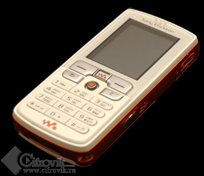 SonyEricsson W800i     