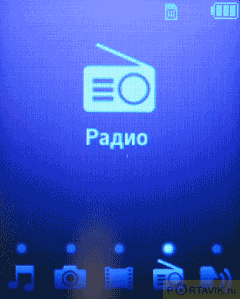   GSM- Samsung SGH-F300