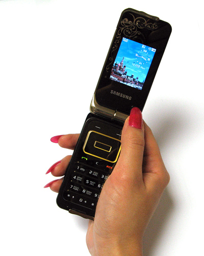    Samsung L310