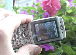 Motorola E365