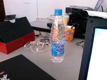 Fly Levis The Original: 12  