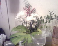 Тест сотового телефона Samsung SGH-D820: Тест сотового телефона Samsung SGH-D820: