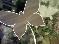 Тест сотового телефона Samsung SGH-D820: Тест сотового телефона Samsung SGH-D820: