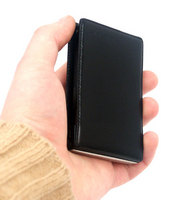    Samsung SGH-P300:    / MForum.ru