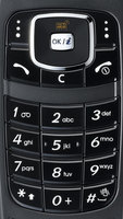    Samsung SGH-X210