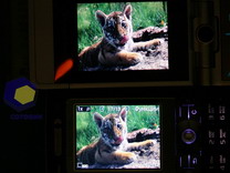 Фото BenQ-Siemens EF-81