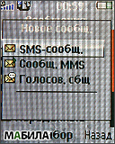  Sony Ericsson R300:  !