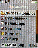  Sony Ericsson R300:  !