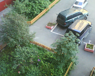 Sony Ericsson W350i:   ?