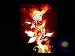  HTC P3700_Touch_Diamond