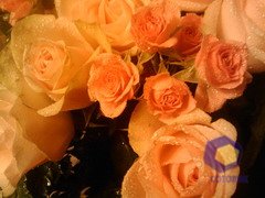    HTC P3700_Touch_Diamond