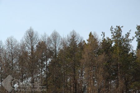 Nikon D200 � �� ���� � ������������