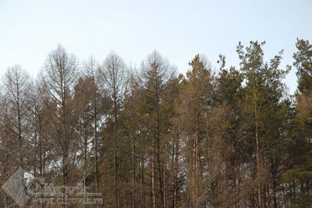 Nikon D200 � �� ���� � ������������