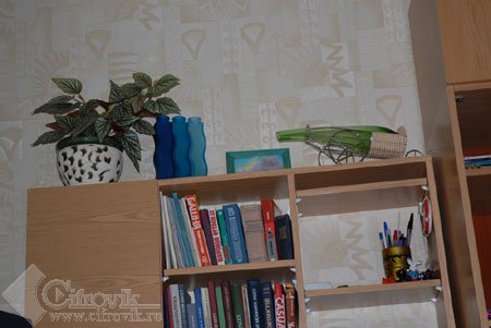 Nikon D200 � �� ���� � ������������