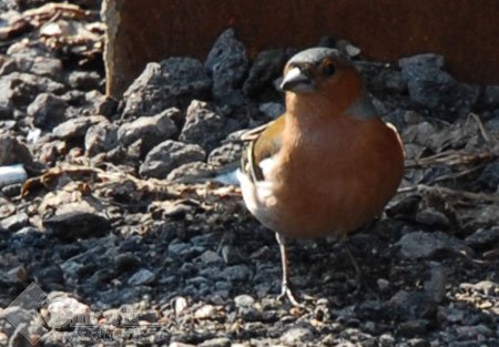 Nikon D200 � �� ���� � ������������