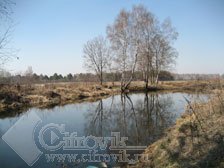 Canon Digital IXUS 60 � ���� � ��������