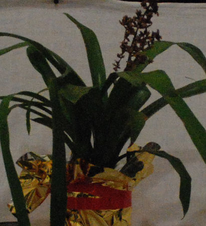 Nikon D80  D200.    ?