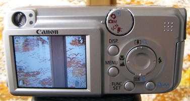 Canon PowerShot A450 - �������� �����������