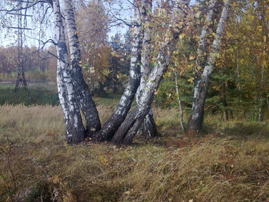 ����� ��������� Nokia N78