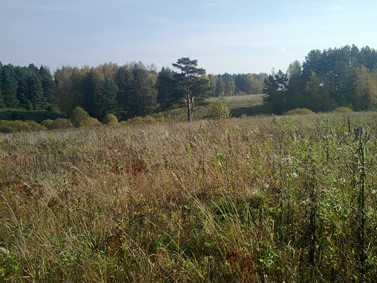 ����� ��������� Nokia N78