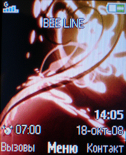 ����� ���������� �������� Sony Ericsson R306i