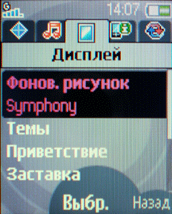 ����� ���������� �������� Sony Ericsson R306i