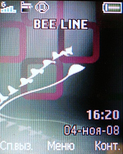 Sony Ericsson T303: �������, ��� ���, ���, ���