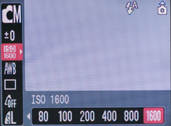 ����� ����������������